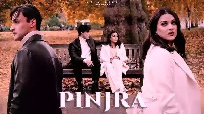 pinjra lyrics asim riaz