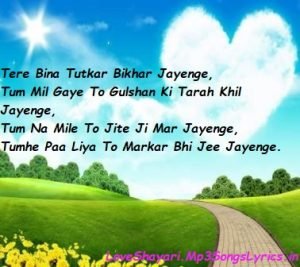 Tere Bina Tutkar Bikhar Jayenge Love Shayari | SMS | Status in English
