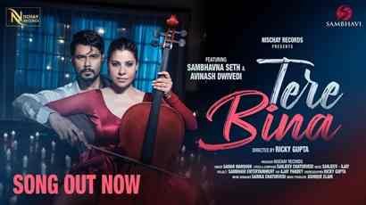 Tere Bina Lyrics (तेरे बिना Lyrics In Hindi) sung by Samar Monsoon